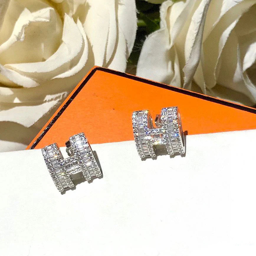 HS Gorgeous Earrings 1025012230