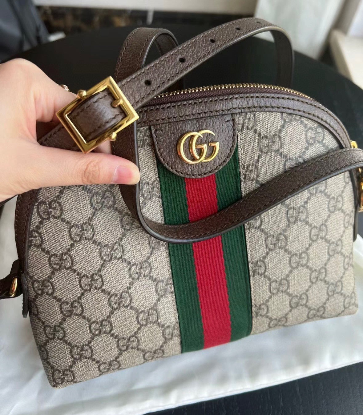 Ophidia series shell bag XC0823111003