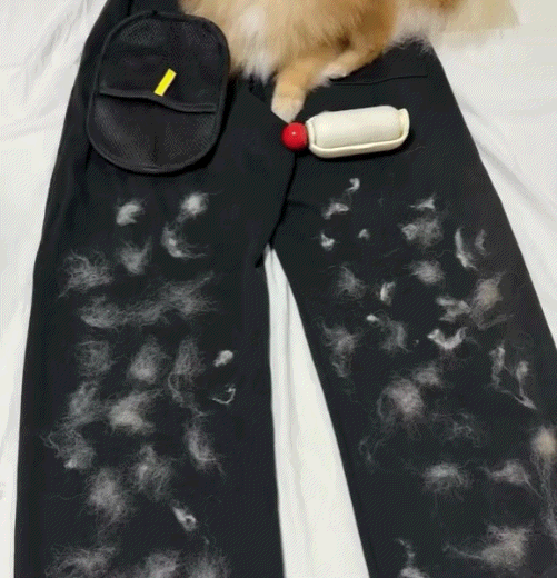 Pet Hair Removal Gloves