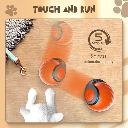 🐾Interactive Electric Rolling Ball with Teasing Tail – Smart Cat Toy for Indoor & Outdoor Fun 🎉🐱