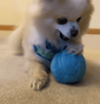 Auto-Movement Anti-Anxiety Active Moving Sphere